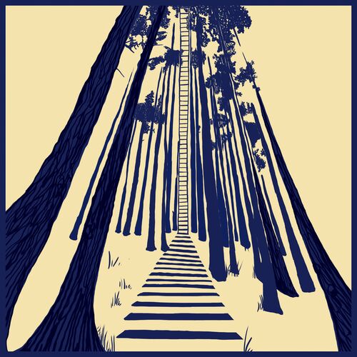 image couverture Album