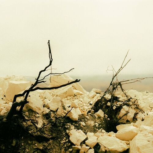 image couverture Album