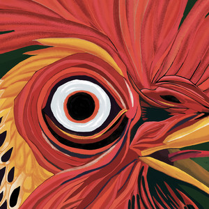 image couverture Album