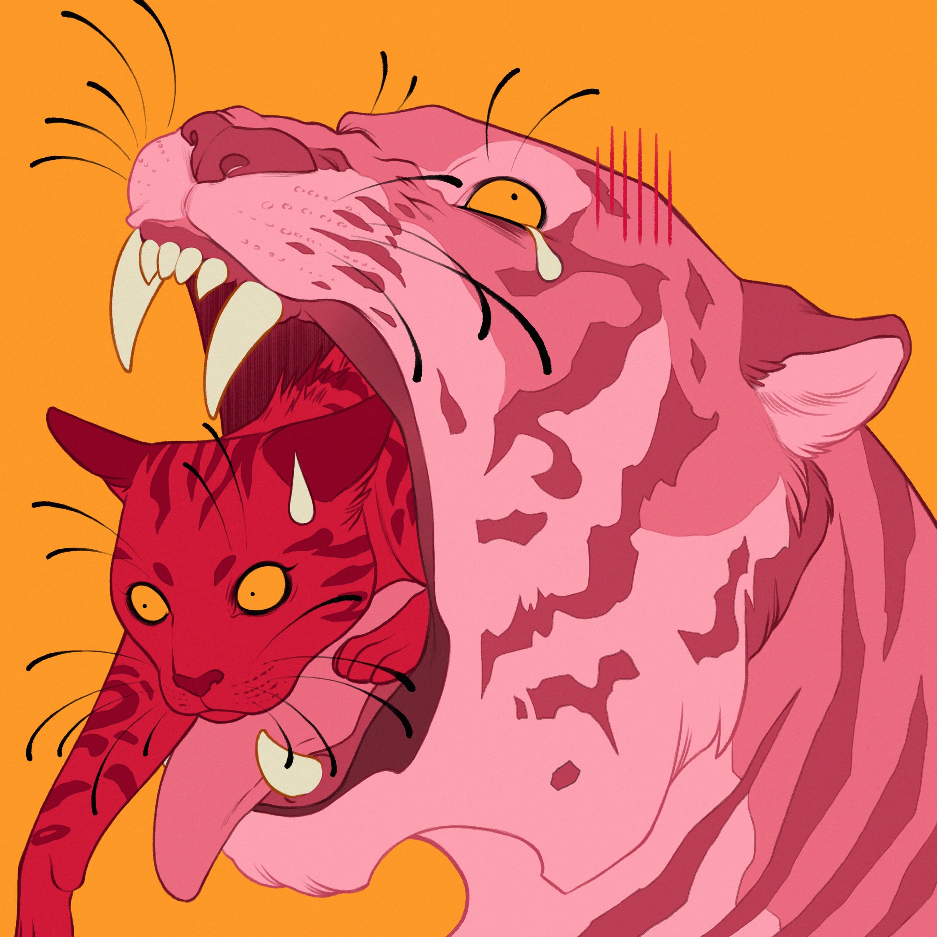 image couverture Album